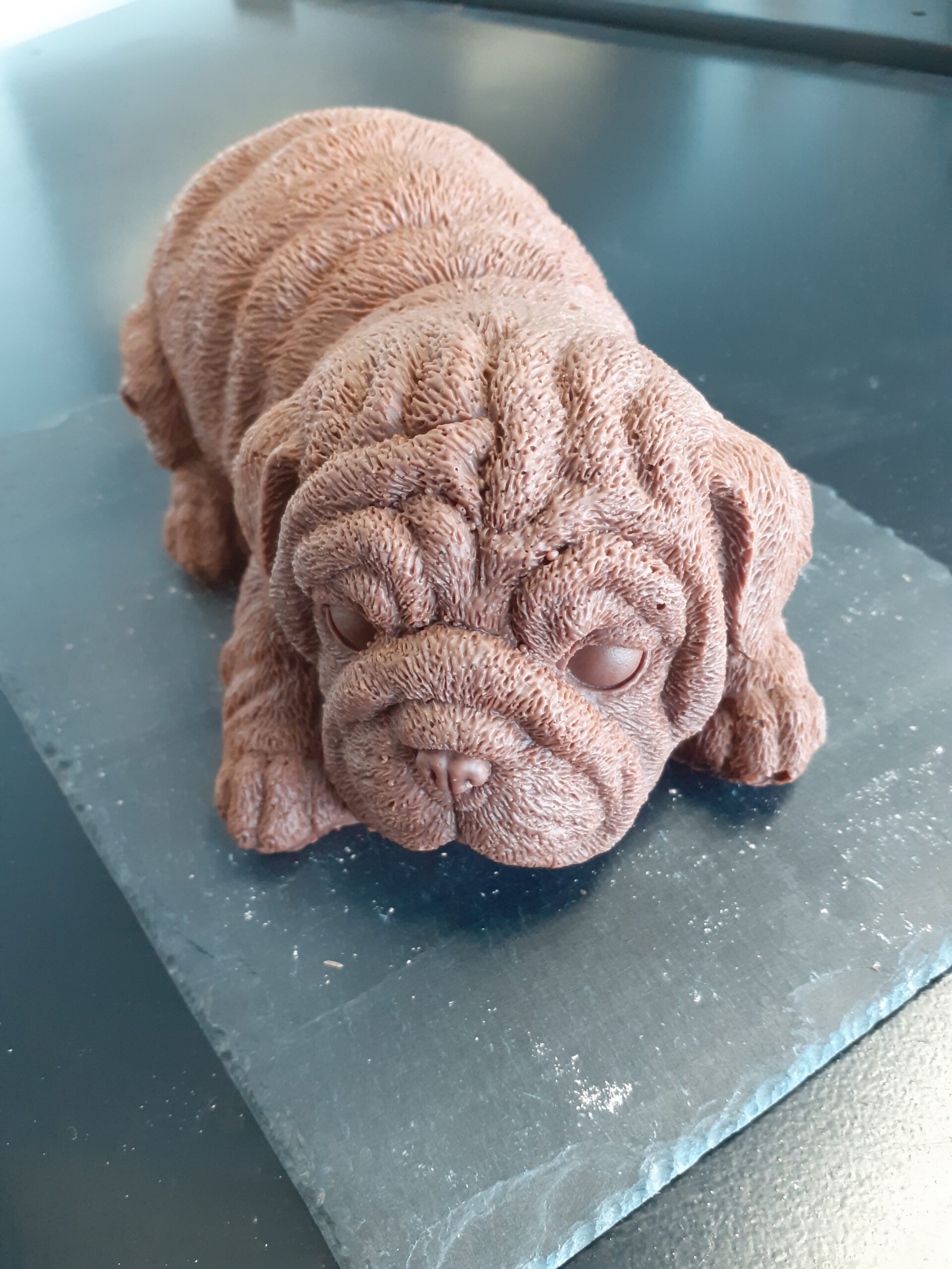 Chien