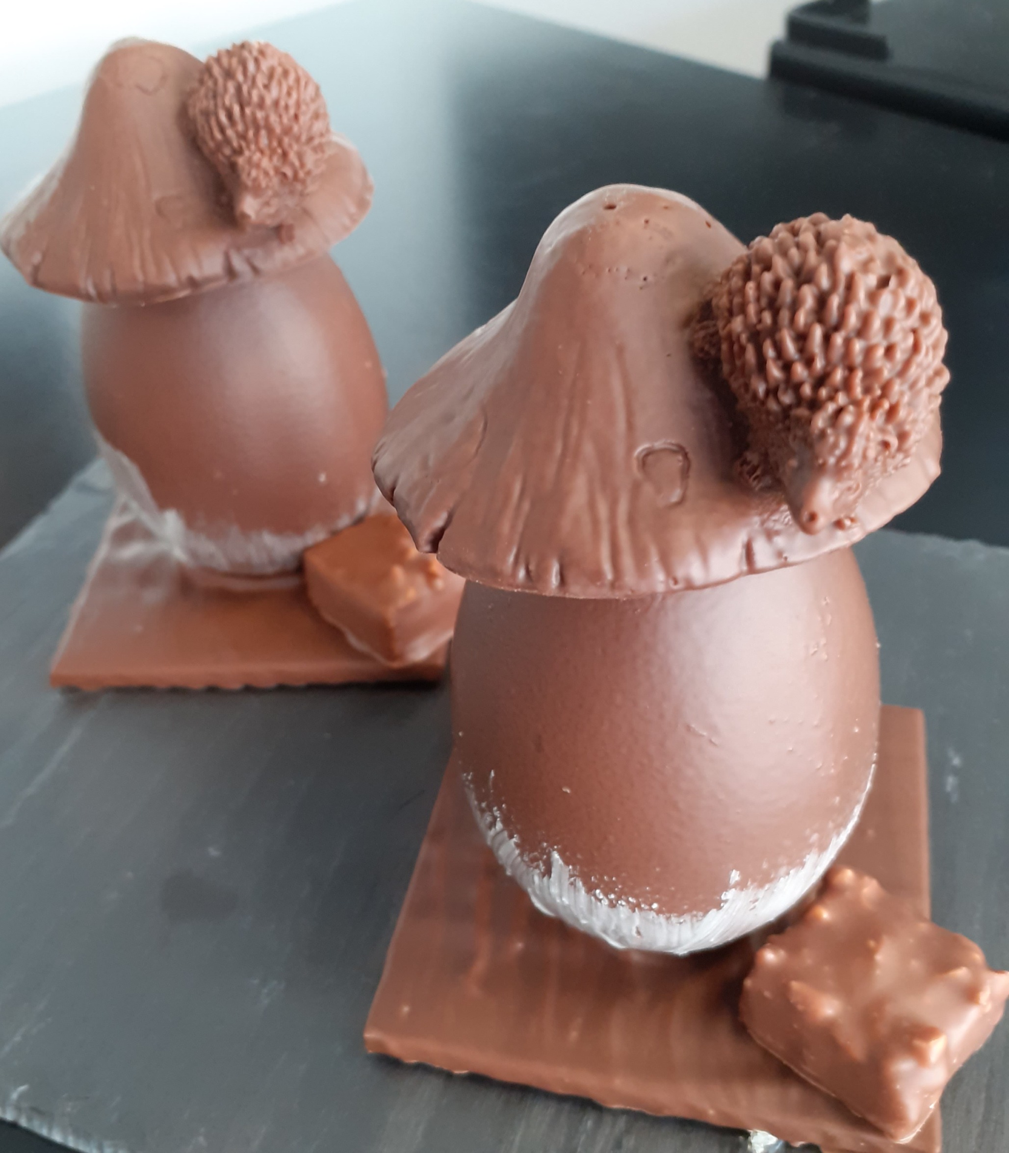 Champignon en chocolat